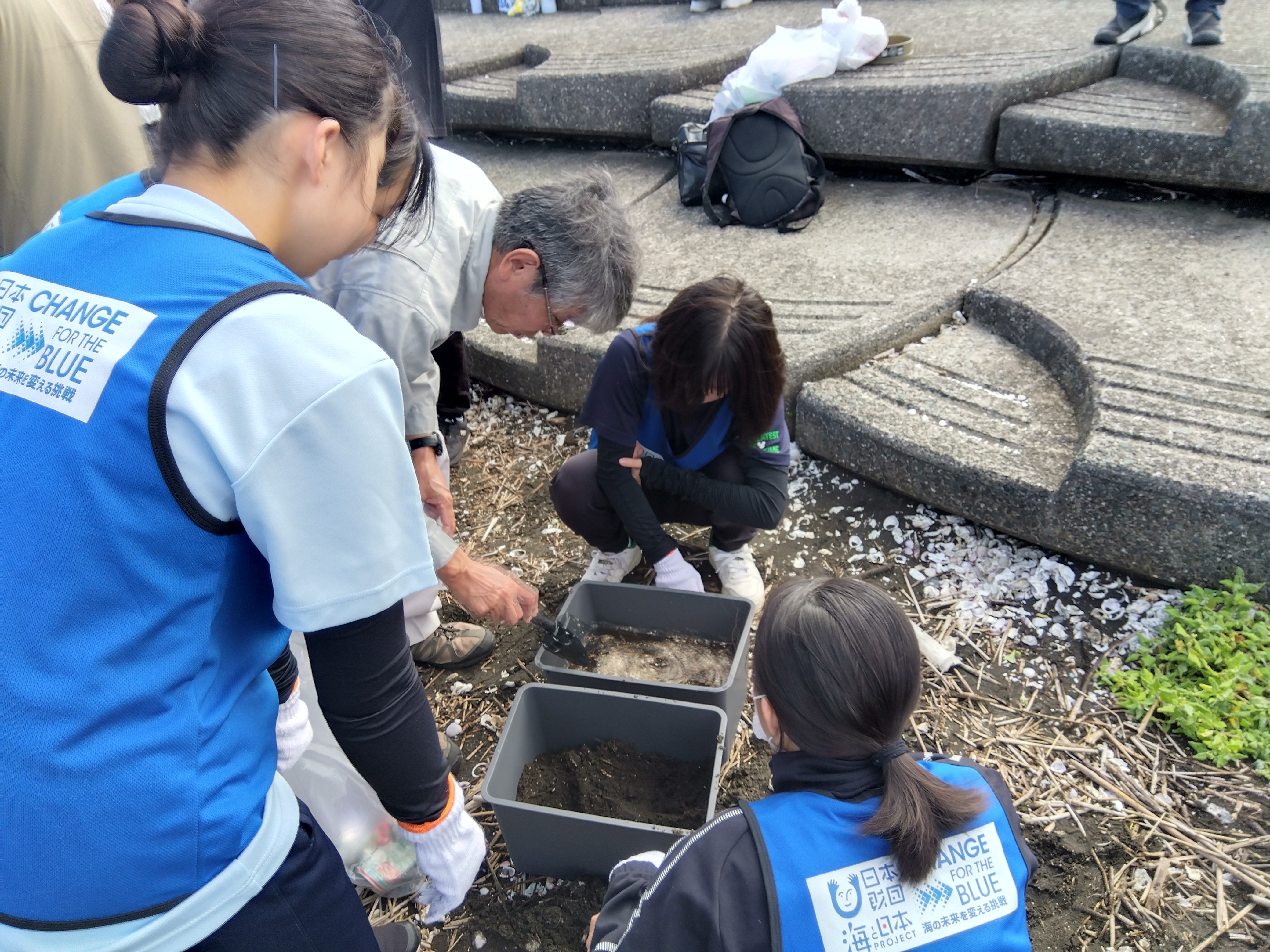 マイクロプラスチック調査【海と日本プロジェクト】